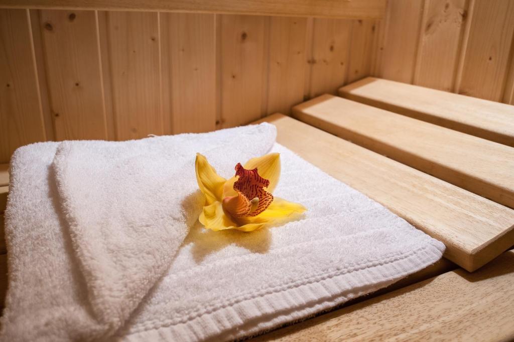C Comfort Hotel & Wellness Hisarya Extérieur photo
